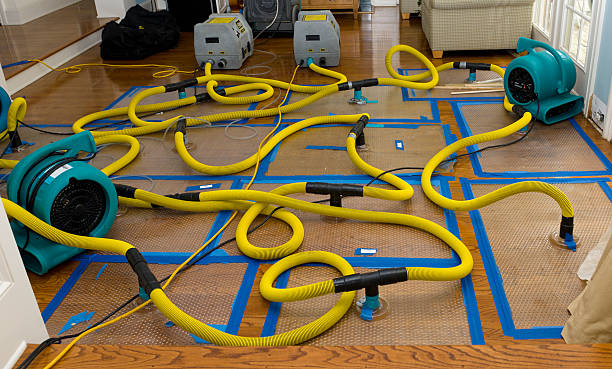 Professional Crawl Space Water Removal technician working in Chappaqua, NY